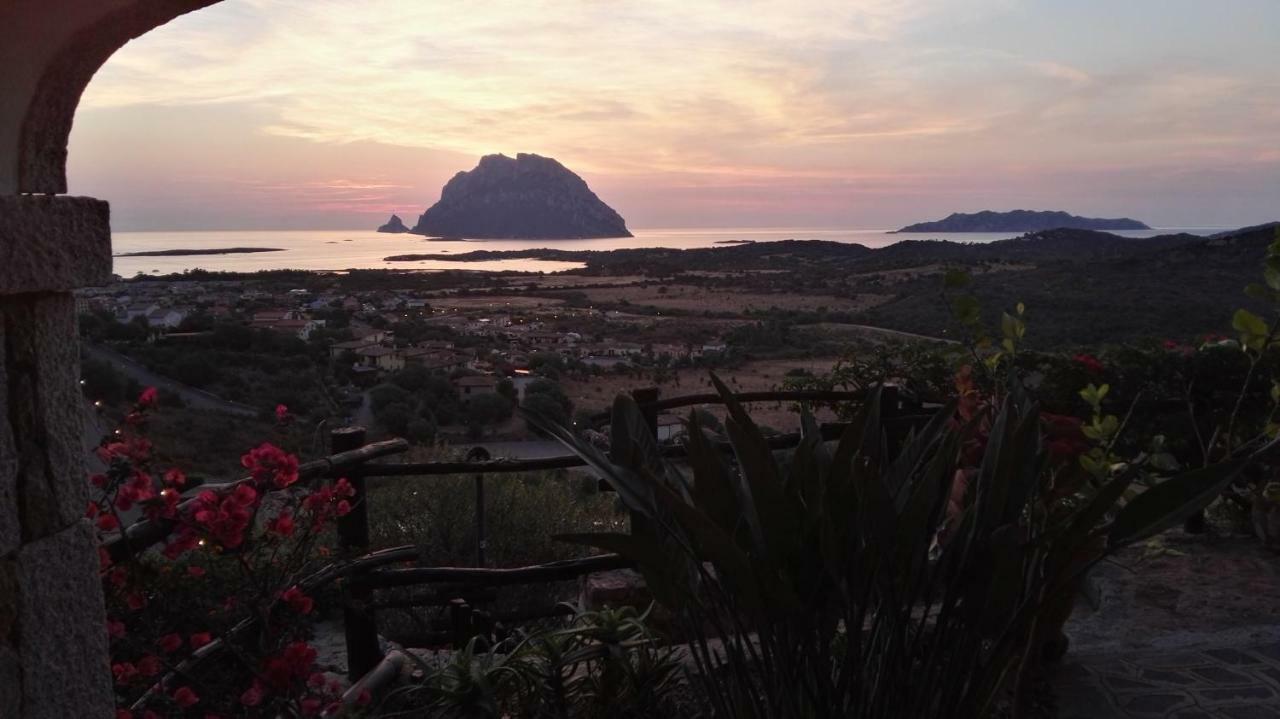 Appartamenti Sardegna Porto San Paolo  Luaran gambar